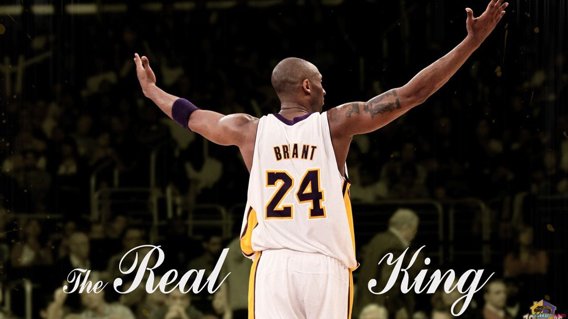 开云·体育官网APP下载-快船客场惨败猛龙，赢得重要一战，快船 vs